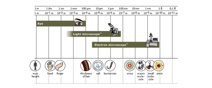 Resultado de imagen de La masa de la partÃ­cula al microscopio electrÃ³nico